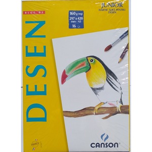 Acuarele, pensule si blocuri de desen