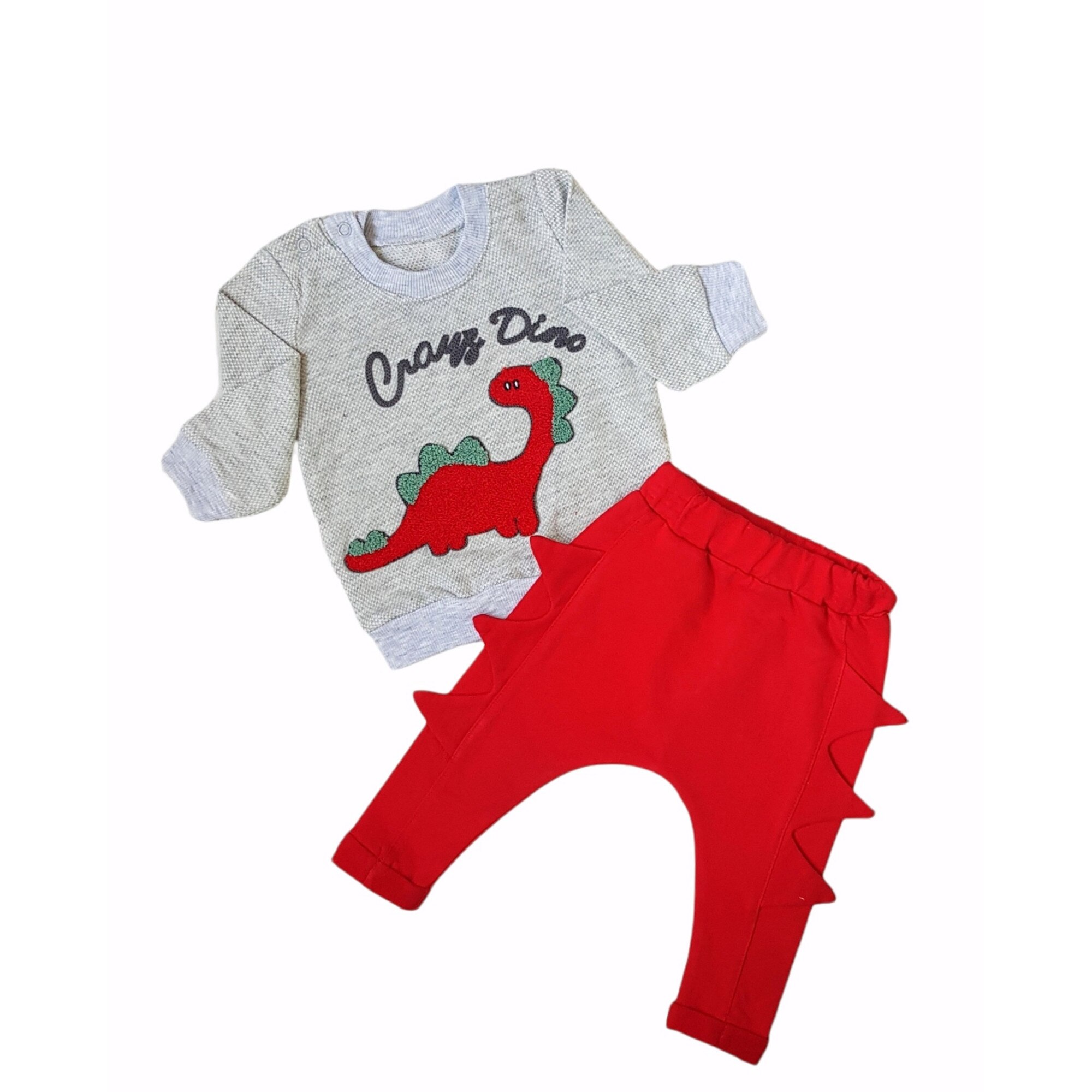 Compleu 2 piese baieti din bumbac, Dino