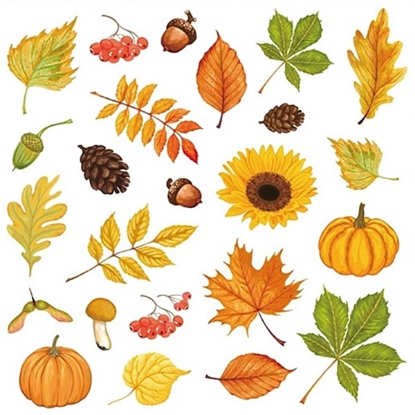 Sticker geam cu motive de toamna - frunze, ghinda si dovleac, 30 x 42 cm