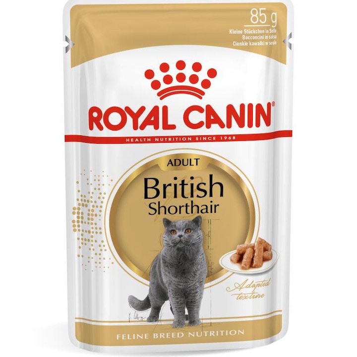 Hrana umeda pentru pisici Royal Canin, British Shorthair Adult, pentru pisici adulte de rasa British Shorthair, in sos, 12x85g