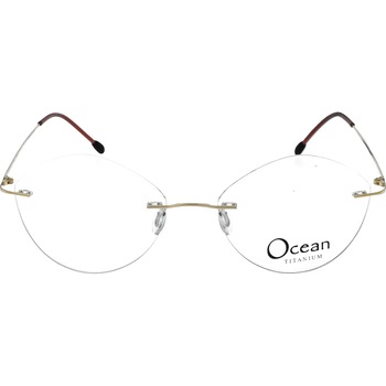 Rame ochelari de vedere Ocean Titan 1027 C4, Maro, 54 mm Rame ochelari de vedere Ocean Titan 1027 C4, Maro, 54 mm