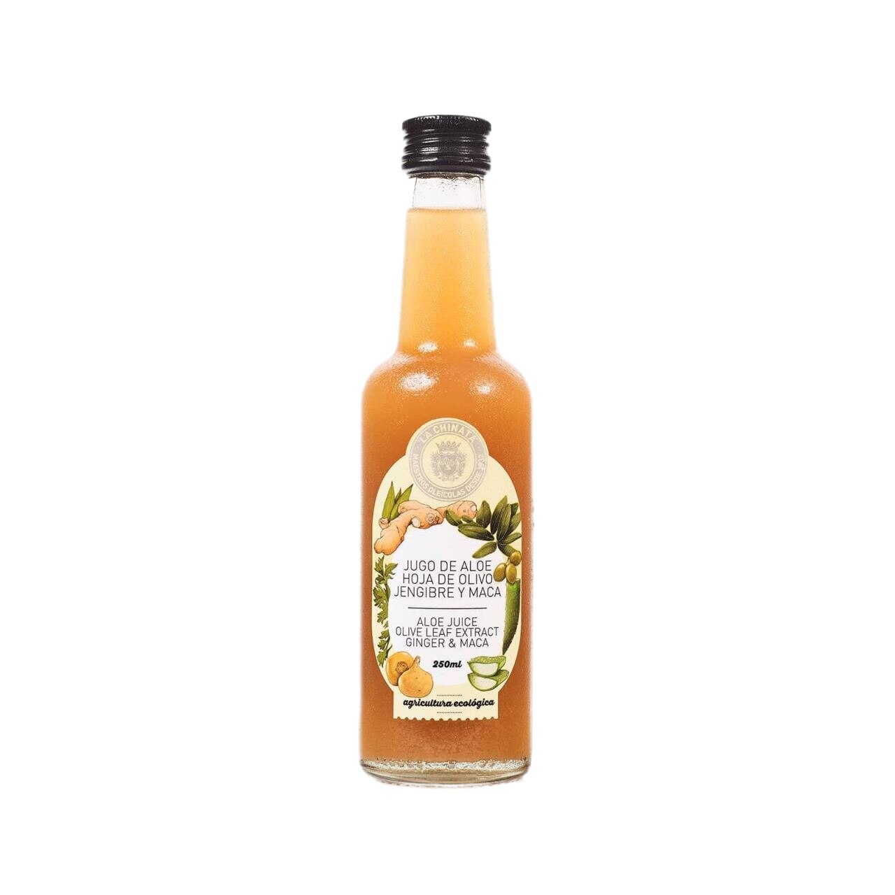 Suc de aloe vera, frunze de maslin, ghimbir si maca, bautura racoritoare, 250 ml
