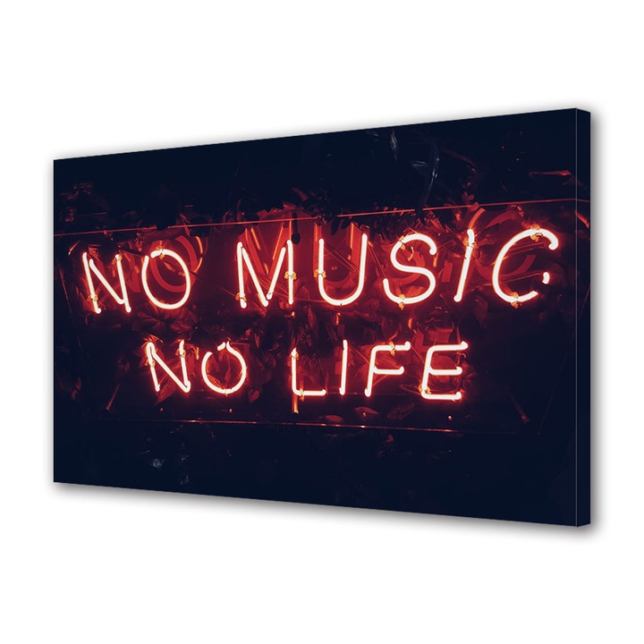 Tablou Canvas Premium, Art Star, No music no life, Mesaje, Panza pe cadru de lemn, Decoratiuni Moderne pentru Casa, 20 x 30 cm