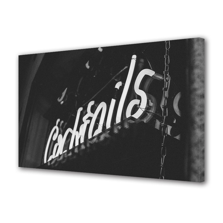 Tablou Canvas Fosforescent, Luminos in Intuneric, Premium, Art Star, Alb negru, Mesaje, Panza pe cadru de lemn, Decoratiuni Moderne pentru Casa, 20 x 30 cm