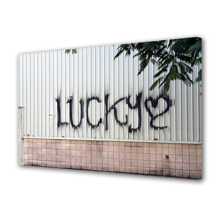 Tablou Canvas Premium, Art Star, Norocos, Mesaje, Panza pe cadru de lemn, Decoratiuni Moderne pentru Casa, 20 x 30 cm