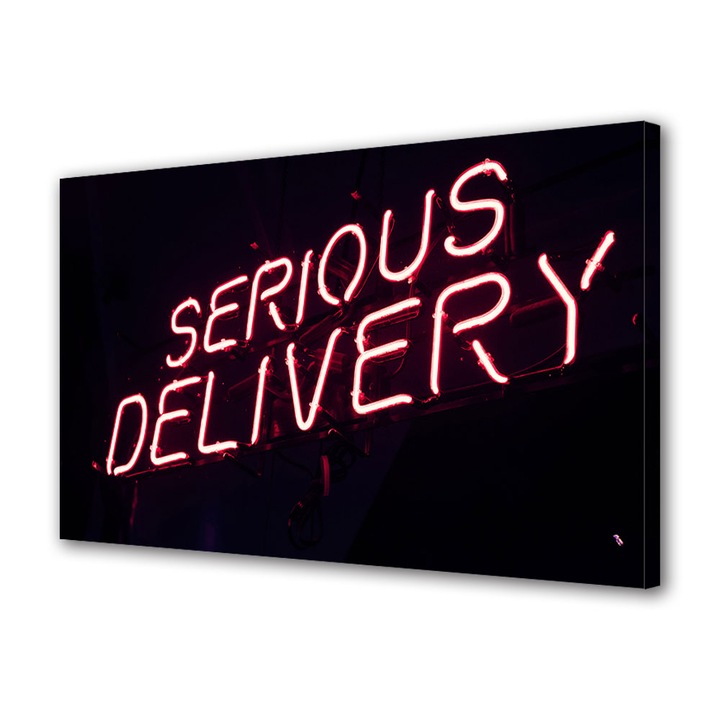 Tablou Canvas Premium, Art Star, Serious delivery, Mesaje, Panza pe cadru de lemn, Decoratiuni Moderne pentru Casa, 20 x 30 cm