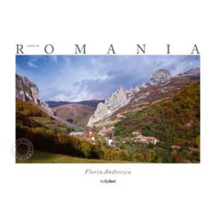 Made in Romania- italiana - Florin Andreescu