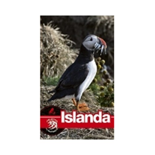 Islanda - Dana Ciolca