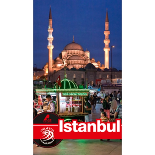 Istanbul - Dana Ciolca