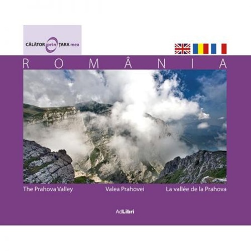 Valea Prahovei II - Florin Andreescu