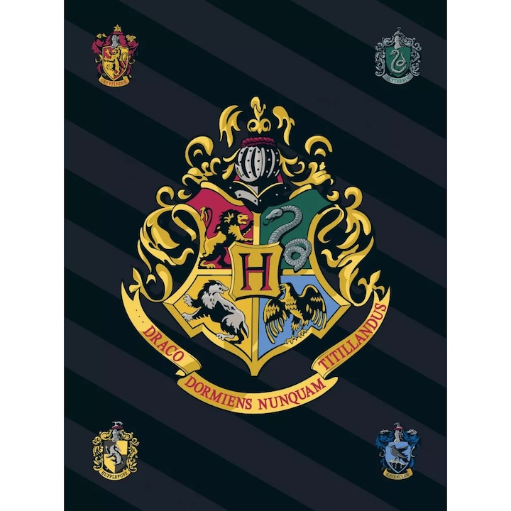 Harry Potter polár takaró 100*140cm Csíkos