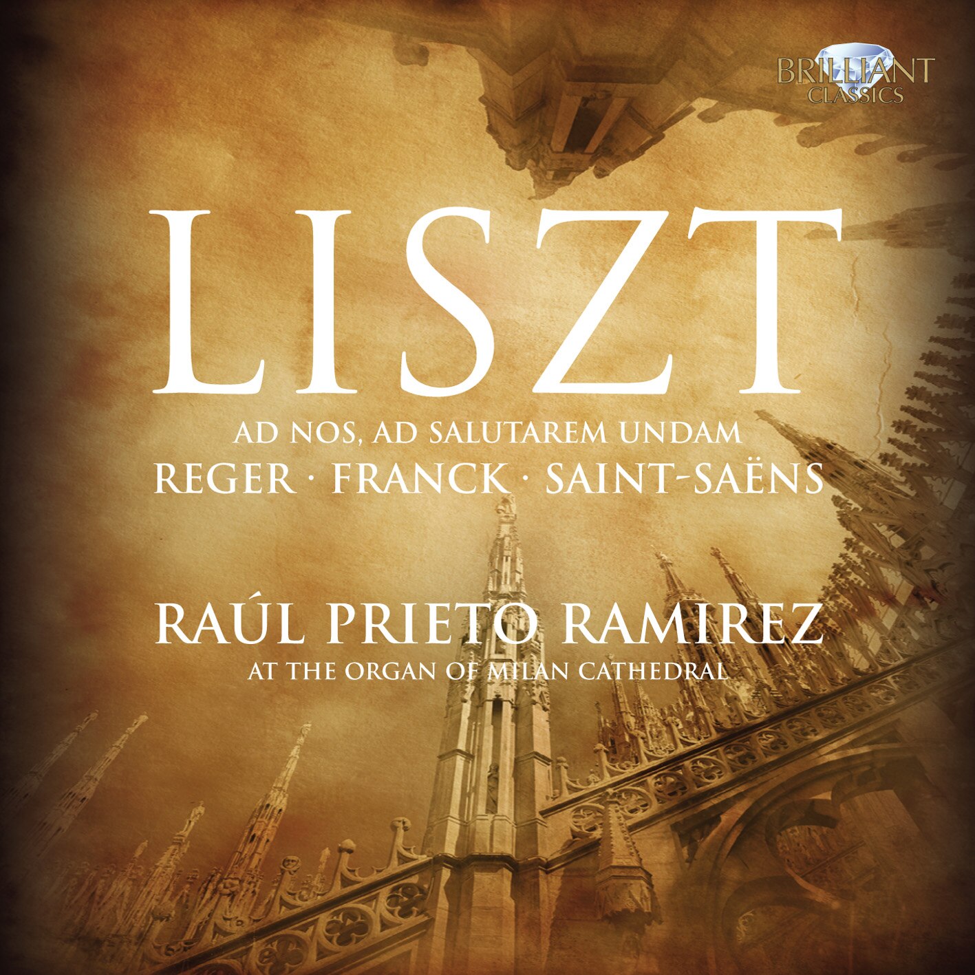 Liszt / Reger / Franck / Saint-Saëns - Organ Works (CD)