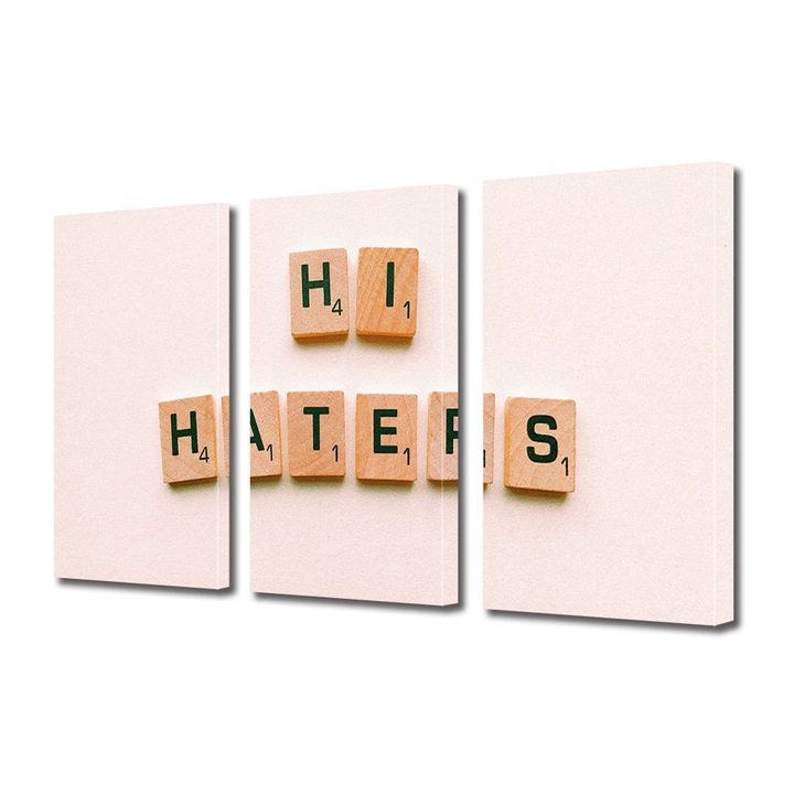 Set Tablouri Multicanvas 3 piese, Art Star, Hi haters, Mesaje, Panza pe cadru de lemn, Decoratiuni Moderne pentru Casa, 3 x 20 x 30 cm