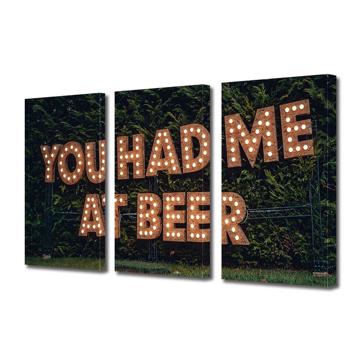 Set Tablouri Multicanvas 3 piese, Art Star, You had me at beer, Mesaje, Panza pe cadru de lemn, Decoratiuni Moderne pentru Casa, 3 x 30 x 45 cm