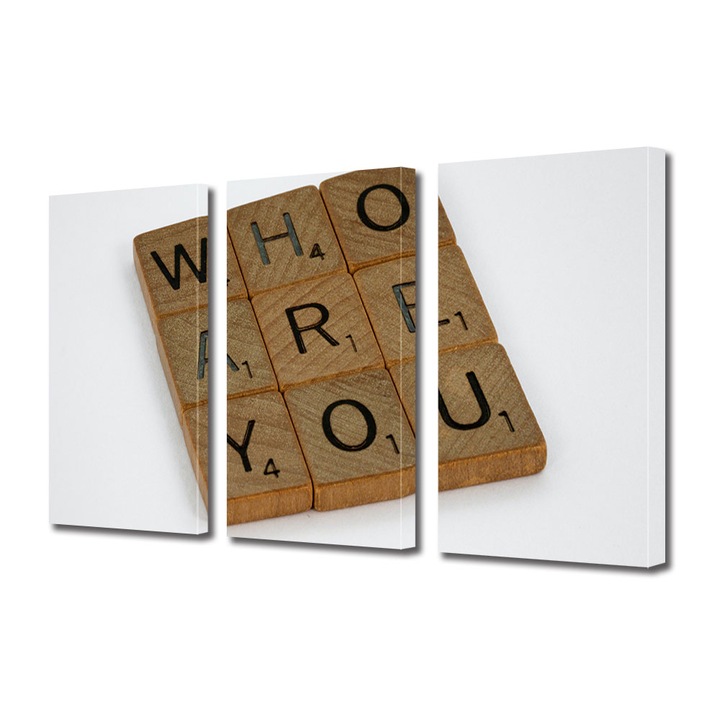 Set Tablouri Multicanvas 3 piese, Art Star, Who are you, Mesaje, Panza pe cadru de lemn, Decoratiuni Moderne pentru Casa, 3 x 30 x 45 cm