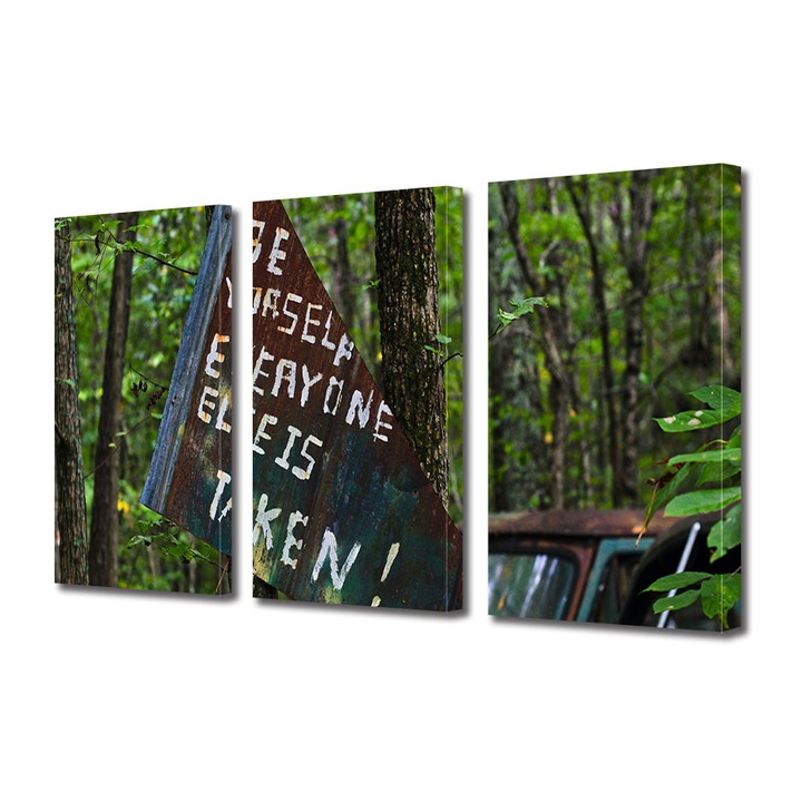 Set Tablouri Multicanvas 3 piese, Art Star, Fii tu, Mesaje, Panza pe cadru de lemn, Decoratiuni Moderne pentru Casa, 3 x 20 x 30 cm