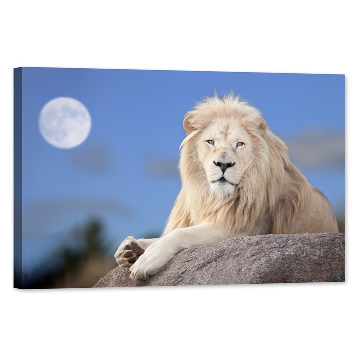 Tablou luminos in intuneric, GlowforHome, Leu alb, 60 cm x 40 cm