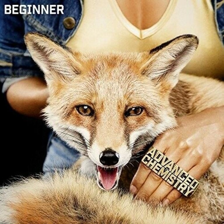 Absolute Beginner - Advanced Chemistry (CD)