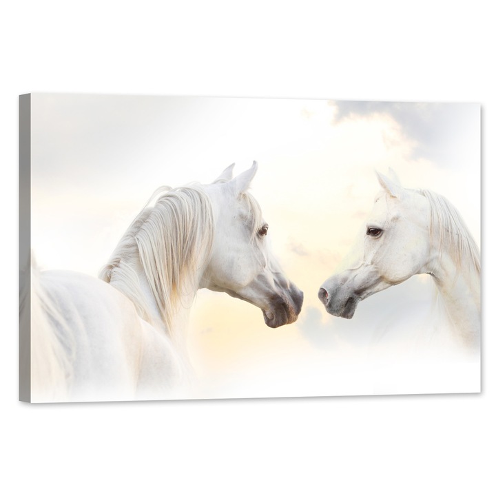 Tablou luminos in intuneric, GlowforHome, Cal alb arab, 60 cm x 40 cm