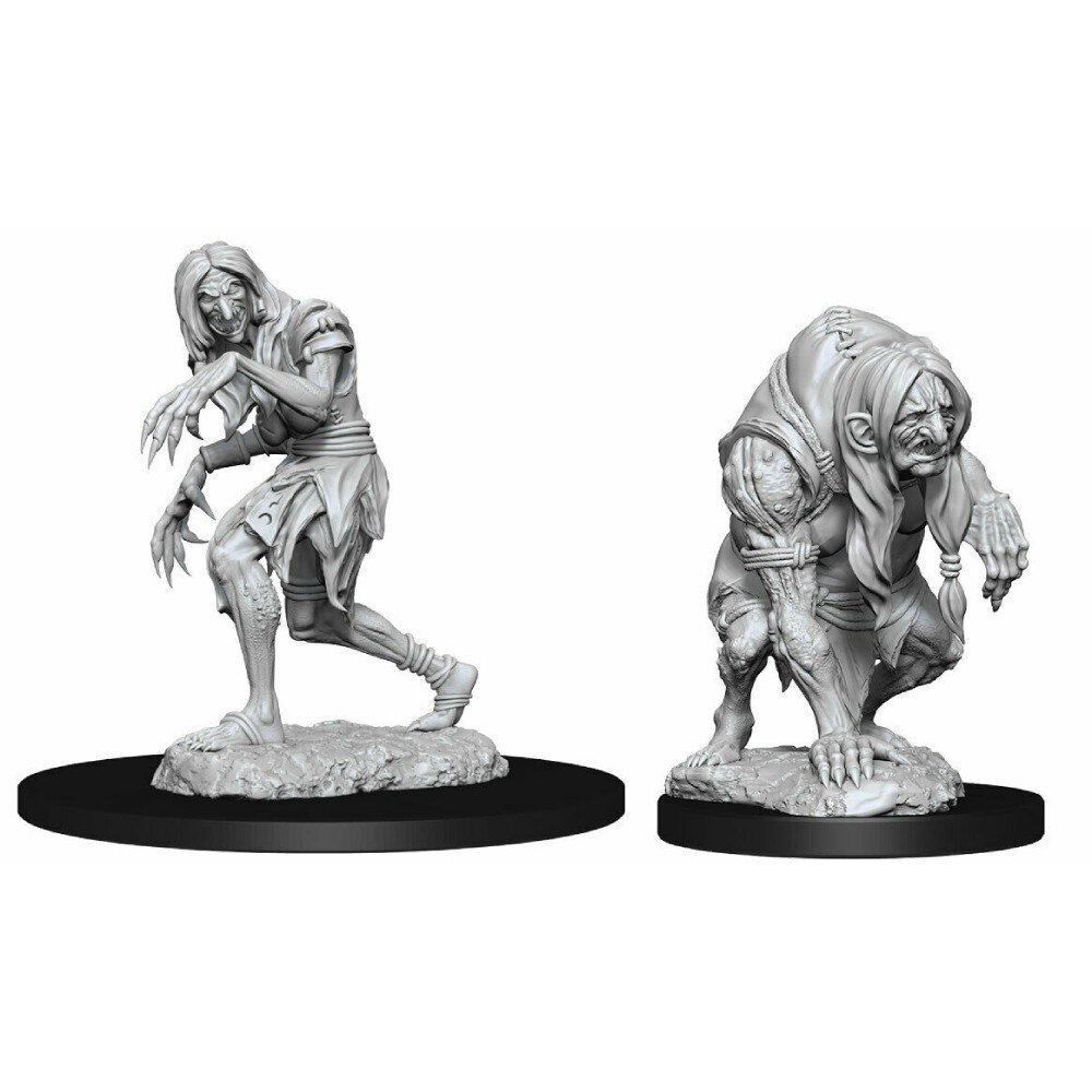 Set Miniaturi Nepictate Pathfinder, Annis Hag & Green Hag