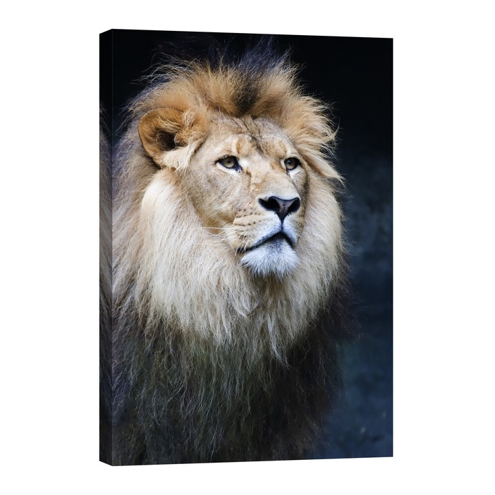 Tablou luminos in intuneric, GlowforHome, Portretul unui rege leu, 60 cm x 40 cm