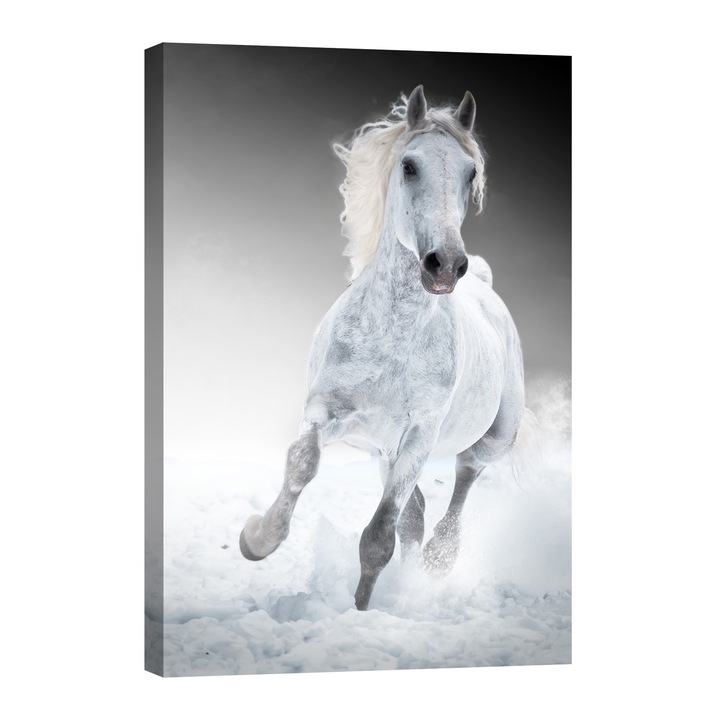 Tablou luminos in intuneric, GlowforHome, Cal alb, 60 cm x 40 cm