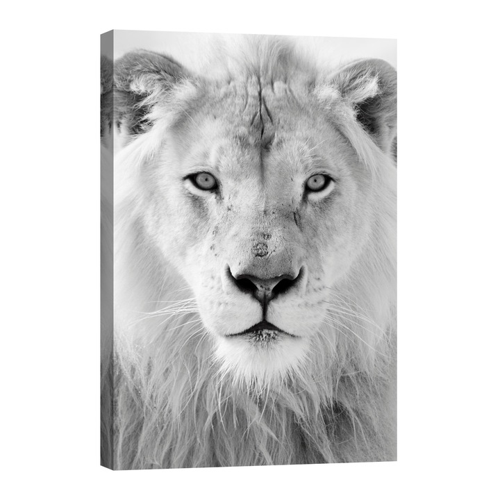 Tablou luminos in intuneric, GlowforHome, leu alb, 60 cm x 40 cm