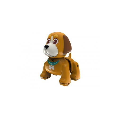 Catelus interactiv - oscior