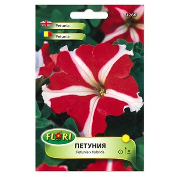 Seminte de petunia stelata rosie, 1 gram Seminte de petunia stelata rosie, 1 gram