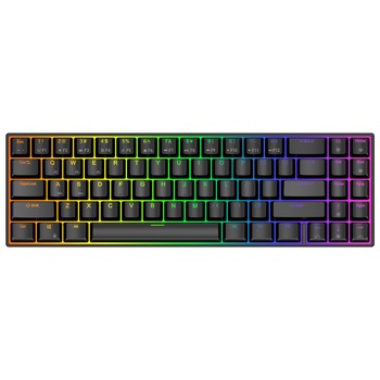 Tastatura mecanica gaming Royal Kludge RK71, 71 taste, hotswap, iluminare RGB, 70%, Keycaps ABS double shot, conectare wireless sau cablu, baterie 1000 mAh, portabila, negru, RK71 Tastatura mecanica gaming Royal Kludge RK71, 71 taste, hotswap, iluminare RGB, 70%, Keycaps ABS double shot, conectare wireless sau cablu, baterie 1000 mAh, portabila, negru, RK71