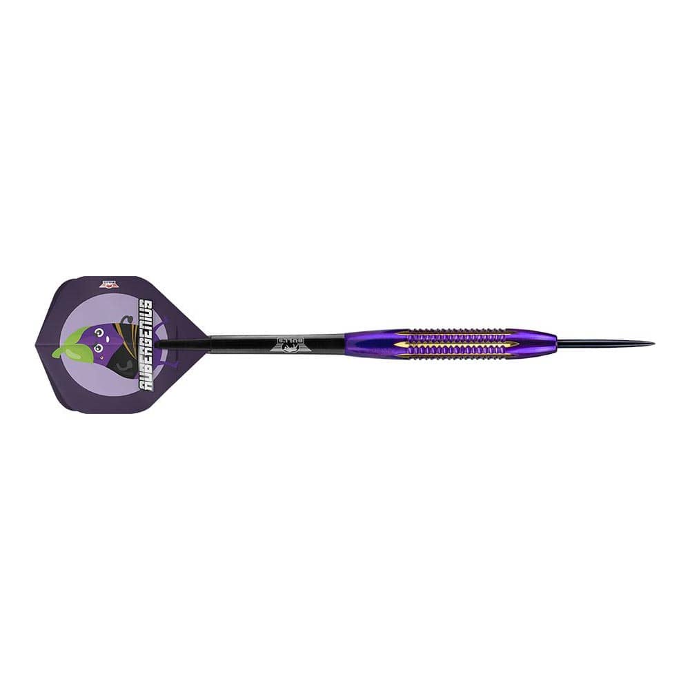 Sageti Darts Bulls Dirk van Duijvenbode, 21 g, Alama, 54 mm, Negru/Mov