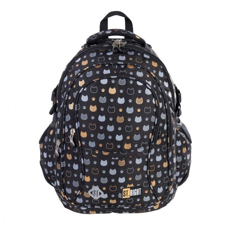 Ghiozdan Scolar 4 Compartimente, St.Right - Golden Cats, BP01