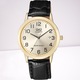 Ceas barbatesc Q&Q Auriu A462J103Y