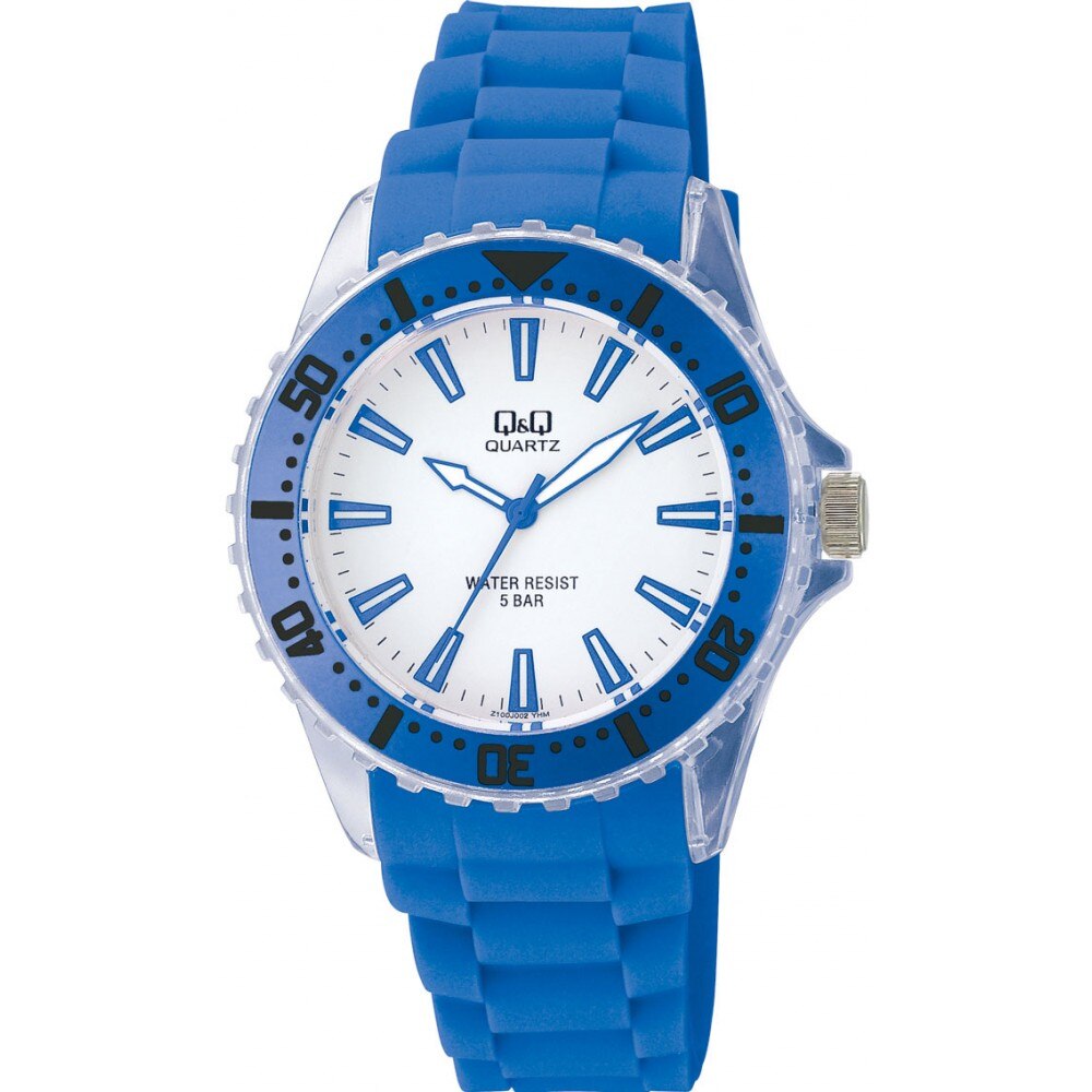 Ceas barbatesc Albastru Q&Q Standart Analog Z100J002Y