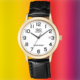 Ceas barbatesc Maro Q&Q A462J104Y