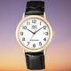 Ceas barbatesc Maro Q&Q A462J104Y