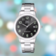 Ceas barbatesc Argentiu Q&Q A462J205Y