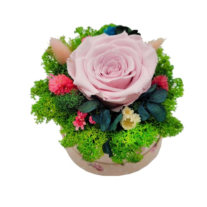 Aranjament mic rotund cu licheni si trandafir criogenat,11cm, Crioflora