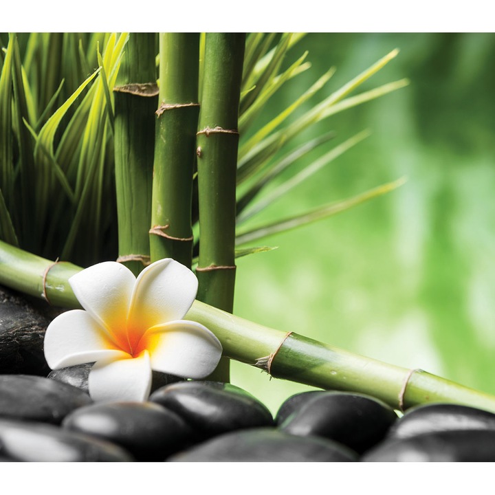 Стъклен панел за кухня, защита на печка, против пръски, UV печат, Octopus, щампован Многоцветен, 750mmx650mm oct154-75x65