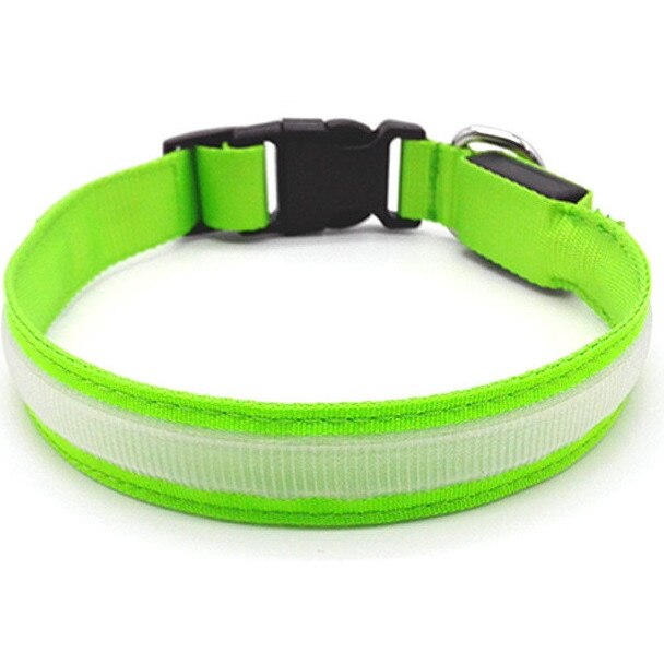 Zgarda luminoasa Bentech DC3100 LED, verde S