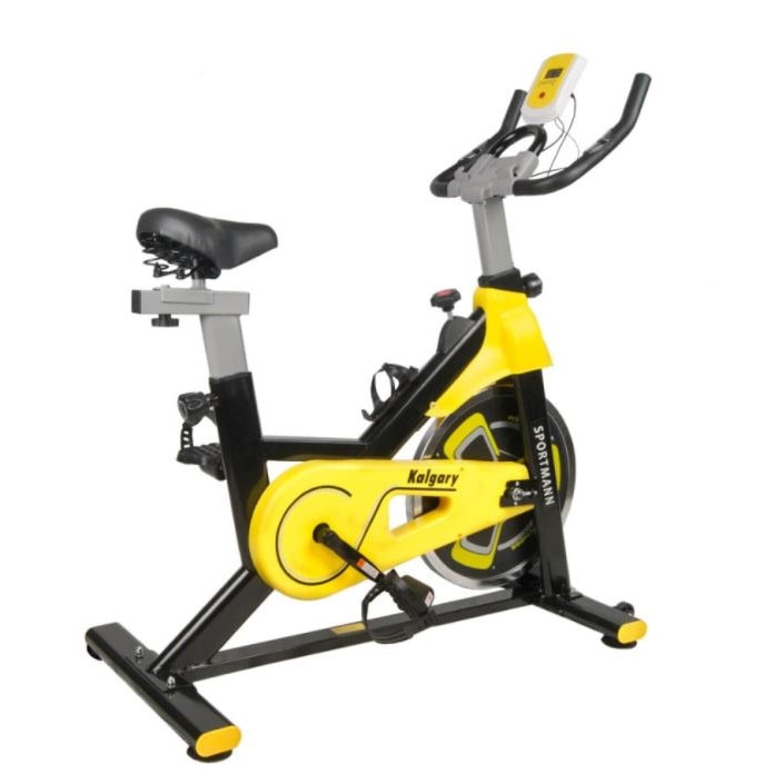 Bicicleta de exercitii ElitSpin