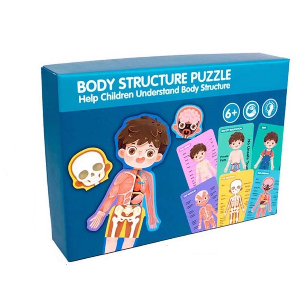 Puzzle din lemn, Anatomia Corpului uman - Baietel, 30 piese, WD2055B RCO®