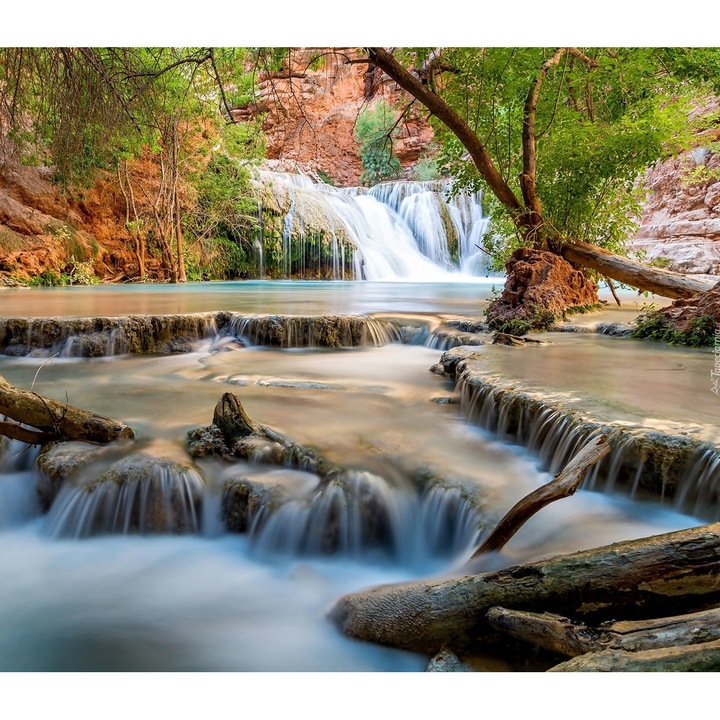 Кухненски декоративен стъклен панел, Протектор за печка, Против пръски, UV печат, Октопод, Щампован, Многоцветен, 750mmx650mm oct151-75x65