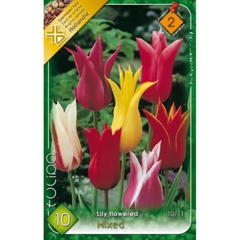 Bulbi Lalele cu inflorire tip crin Mixte HOLLAND PARK 10 bucati Bulbi Lalele cu inflorire tip crin Mixte HOLLAND PARK 10 bucati