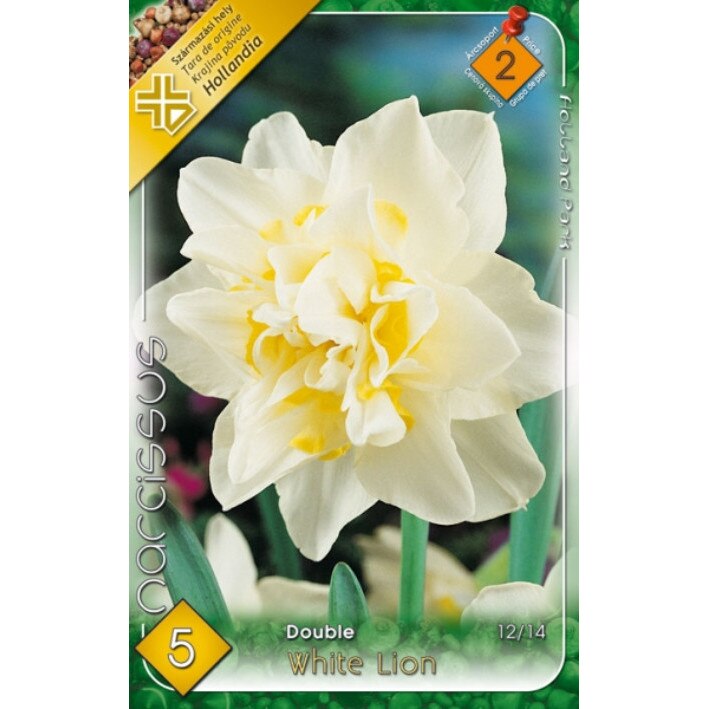 Bulbi Narcise Duble White Lion HOLLAND PARK 5 bucati