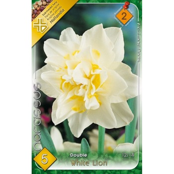 Bulbi Narcise Duble White Lion HOLLAND PARK 5 bucati Bulbi Narcise Duble White Lion HOLLAND PARK 5 bucati