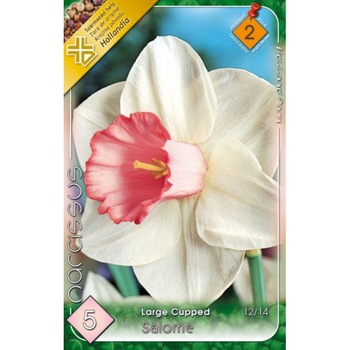 Bulbi Narcise Duble Salome HOLLAND PARK 5 bucati Bulbi Narcise Duble Salome HOLLAND PARK 5 bucati