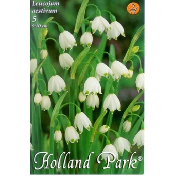 Bulbi Leucojum aestivum HOLLAND PARK 5 bucati Bulbi Leucojum aestivum HOLLAND PARK 5 bucati