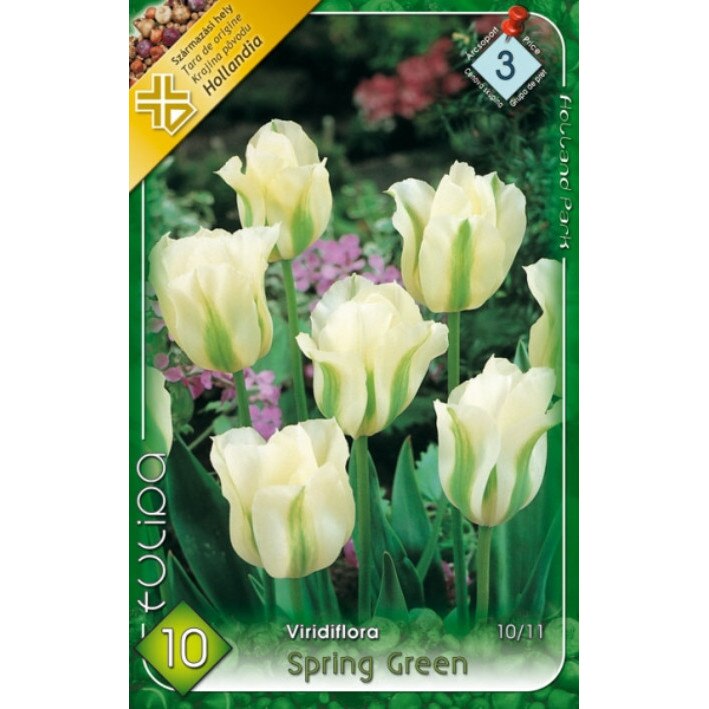 Bulbi Lalele Spring Green HOLLAND PARK 10 bucati
