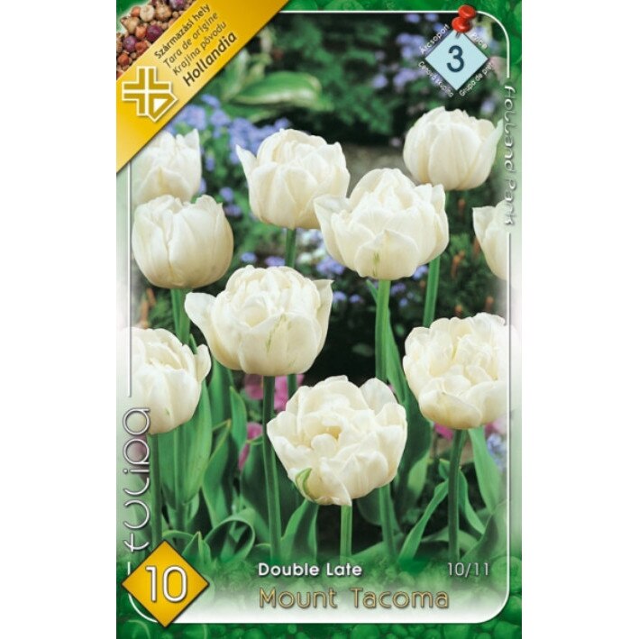 Bulbi Lalele Duble Mount Tacoma HOLLAND PARK 10 bucati